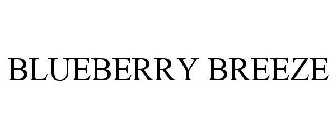 BLUEBERRY BREEZE