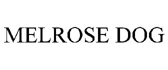 MELROSE DOG