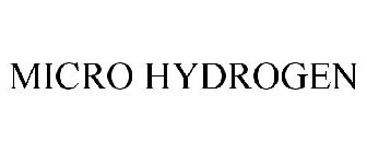 MICRO HYDROGEN