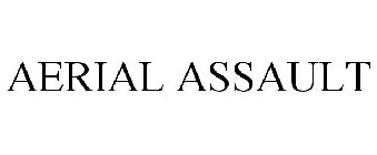 AERIAL ASSAULT