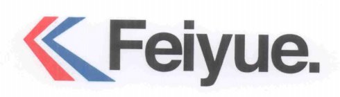 FEIYUE.
