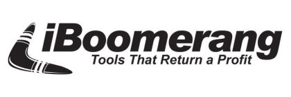 IBOOMERANG TOOLS THAT RETURN A PROFIT