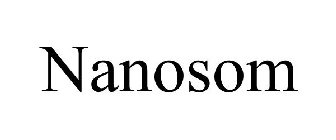 NANOSOM