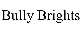 BULLY BRIGHTS