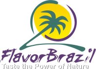 V FLAVORBRAZIL TASTE THE POWER OF NATURE