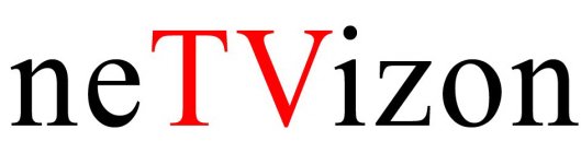 NETVIZON