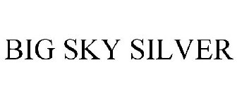 BIG SKY SILVER