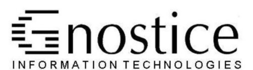 GNOSTICE INFORMATION TECHNOLOGIES