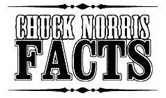 CHUCK NORRIS FACTS