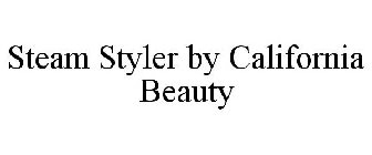 STEAM STYLER BY CALIFORNIA BEAUTY