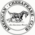 AMERICAN CHESAPEAKE CLUB AN AMERICAN BREED