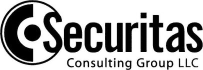 C SECURITAS CONSULTING GROUP LLC