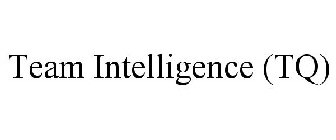 TEAM INTELLIGENCE (TQ)