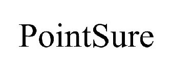 POINTSURE