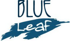 BLUE LEAF