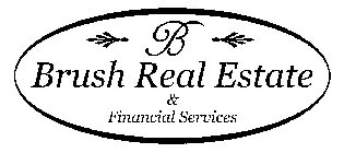 B BRUSH REAL ESTATE & FINANCIAL SERVICES