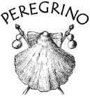 PEREGRINO