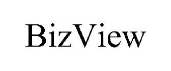 BIZVIEW