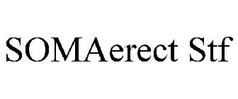 SOMAERECT STF