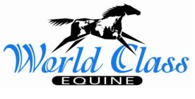 WORLD CLASS EQUINE