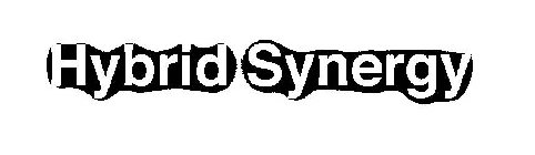 HYBRID SYNERGY