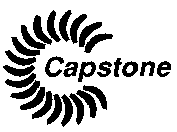 CAPSTONE