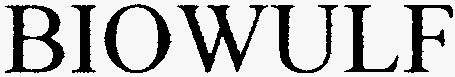 BIOWULF