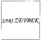 SARI ZEYBEK