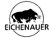 EICHENAUER