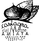 CASTAGNA DEL MONTE AMIATA