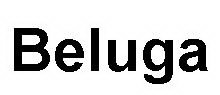 BELUGA