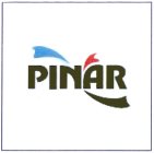 PINAR