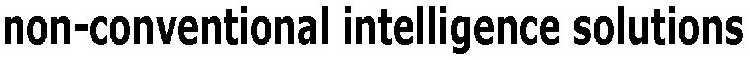 NON-CONVENTIONAL INTELLIGENCE SOLUTIONS