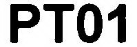 PT01