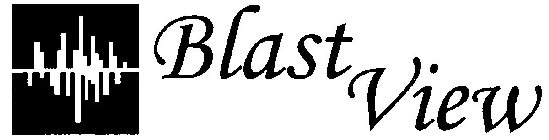 BLAST VIEW
