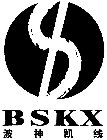 BSKX