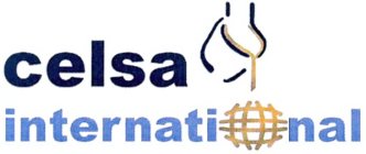 CELSA INTERNATIONAL
