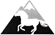 Image Trademark