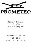 PROMETEO EMMER WHEAT 10,000 YEAR ORIGINS FARRO DICOCCO 10.000 ANNI DI STORIA