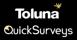 TOLUNA QUICK SURVEYS