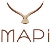 MAPI