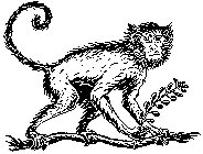 Image Trademark