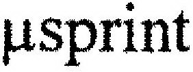 µSPRINT
