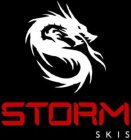 STORM SKIS