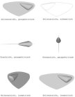 SEINTENANSICHT, PERSPEKTIVISCH SEINTENANSICHT, SCHEMATISCH DRAUFSICHT, PERSPEKTIVISCH RÜCKANSICHT, PERSPEKTIVISCH