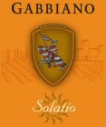 GABBIANO SOLATIO