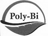 POLY-BI