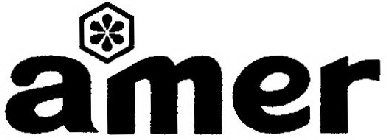AMER