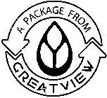 A PACKAGE FROM GREATVIEW