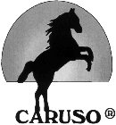 CARUSO